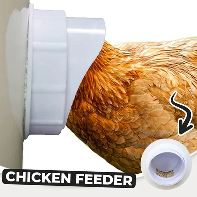 Feeding Kit Special Tools For Breeding Chickens Ducks Poultry Accessories - Image 4
