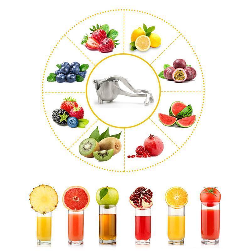 Fruit Juice Squeezer - Image 11