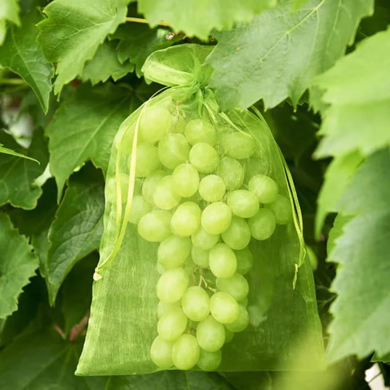 Fruit Protection Bag(100 PCS) - Image 13