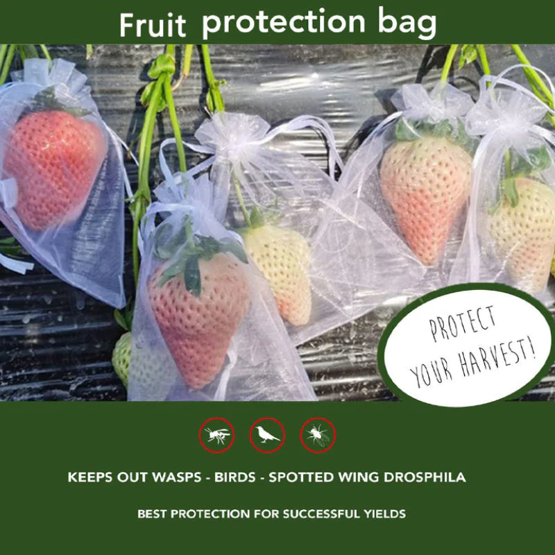 Fruit Protection Bag(100 PCS) - Image 5