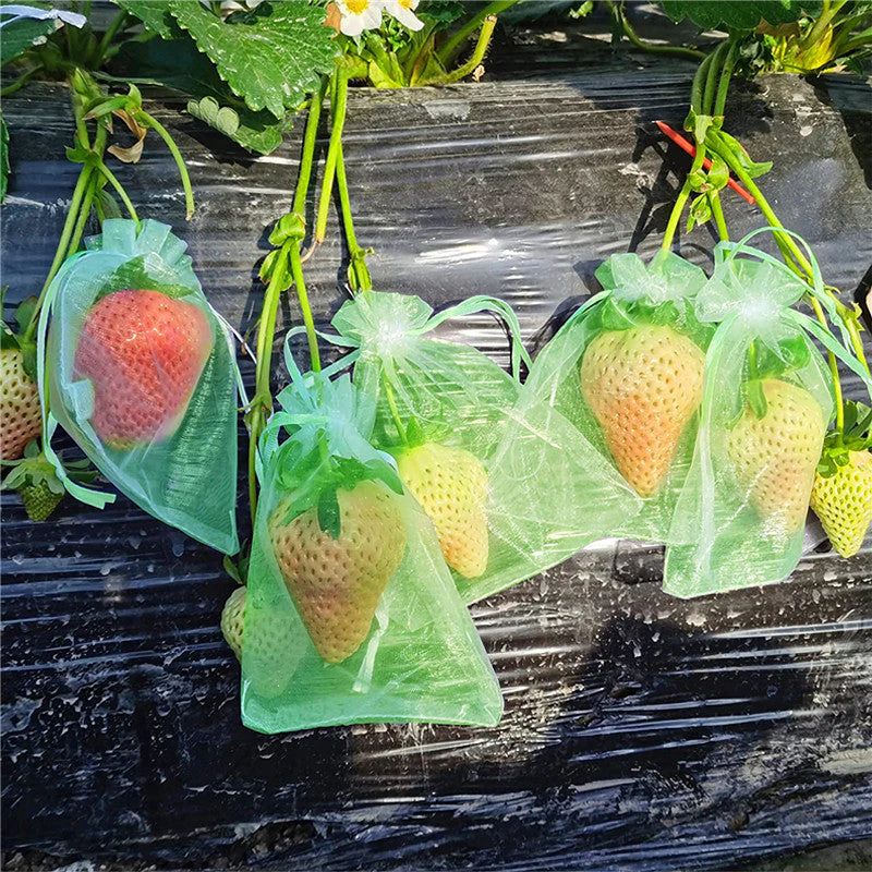 Fruit Protection Bag(100 PCS) - Image 6