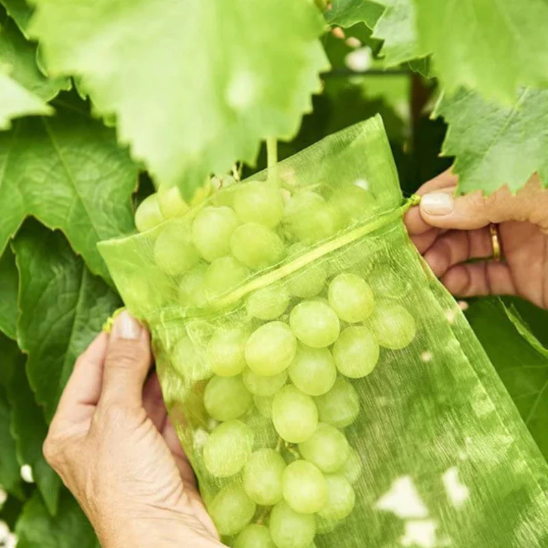 Fruit Protection Bag(100 PCS) - Image 7