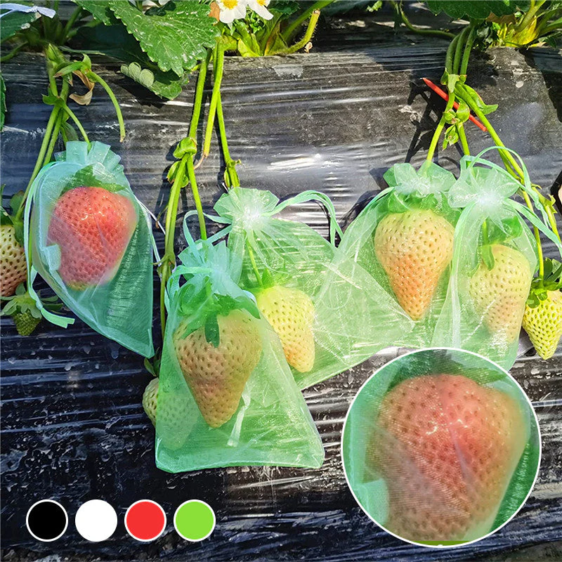 Fruit Protection Bag(100 PCS) - Image 9