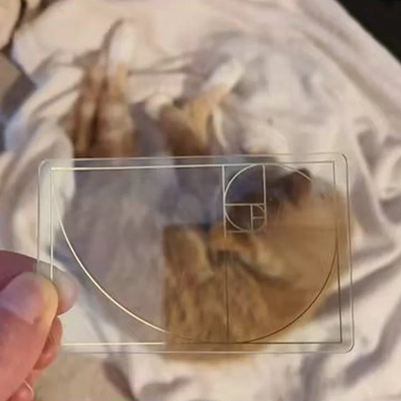Golden Ratio Viewfinder - Image 7