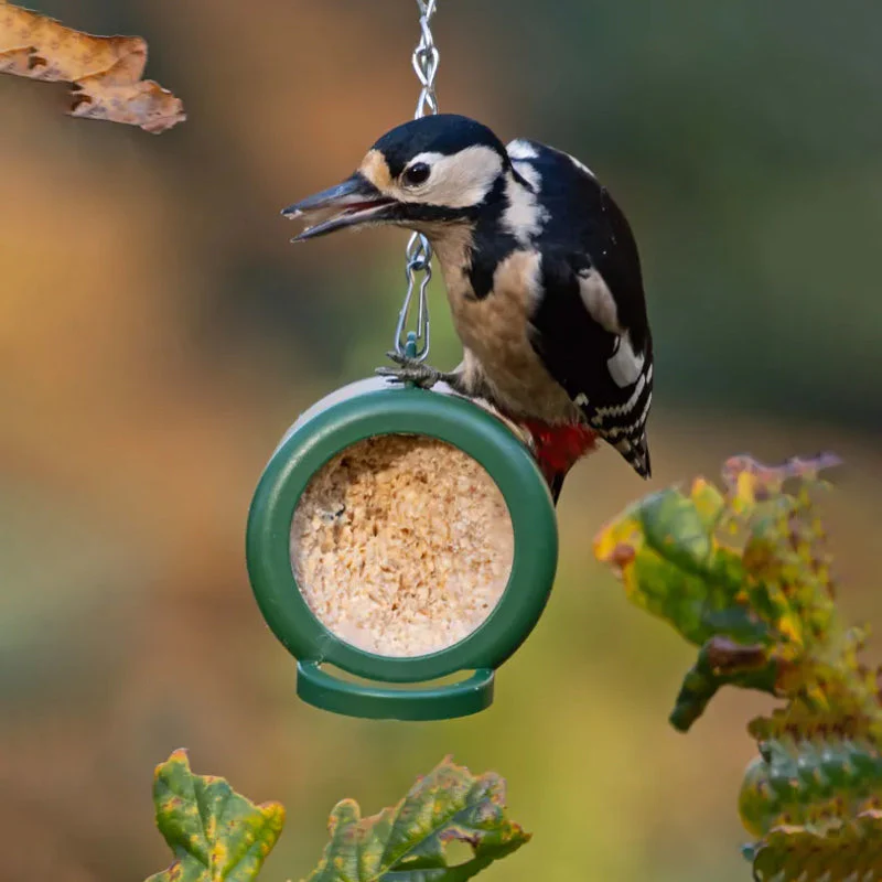 Hanging Bird Feeder - Image 2