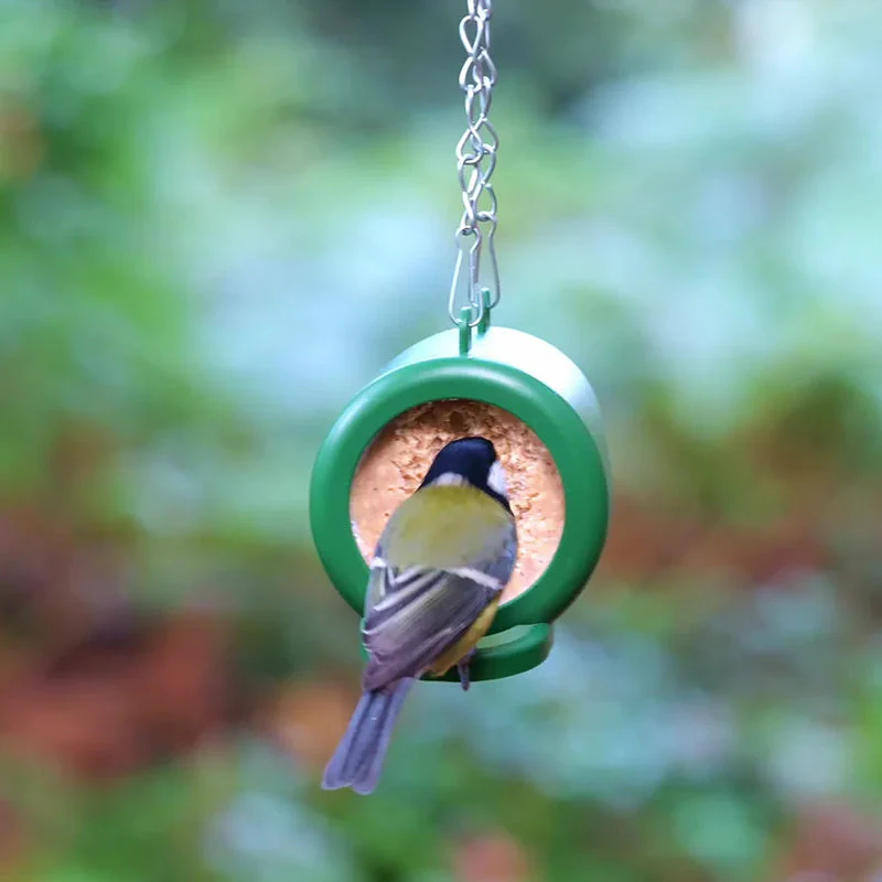 Hanging Bird Feeder - Image 7