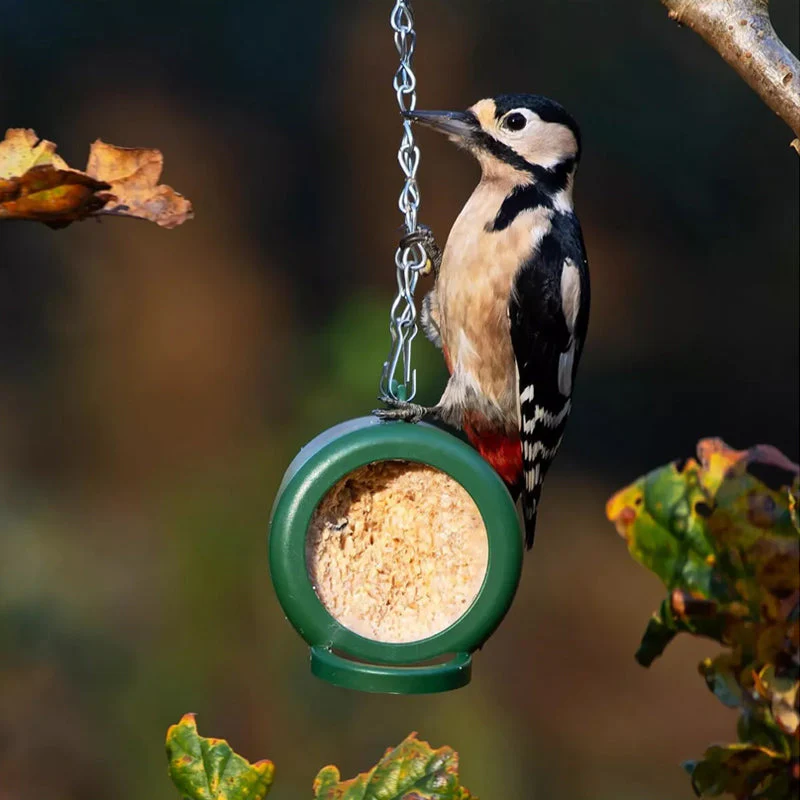 Hanging Bird Feeder - Image 8