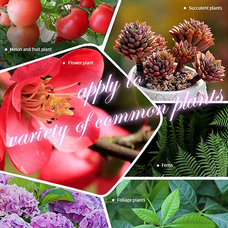 Home Gardening Universal Slow-Release Tablet Organic Fertilizer - Image 4