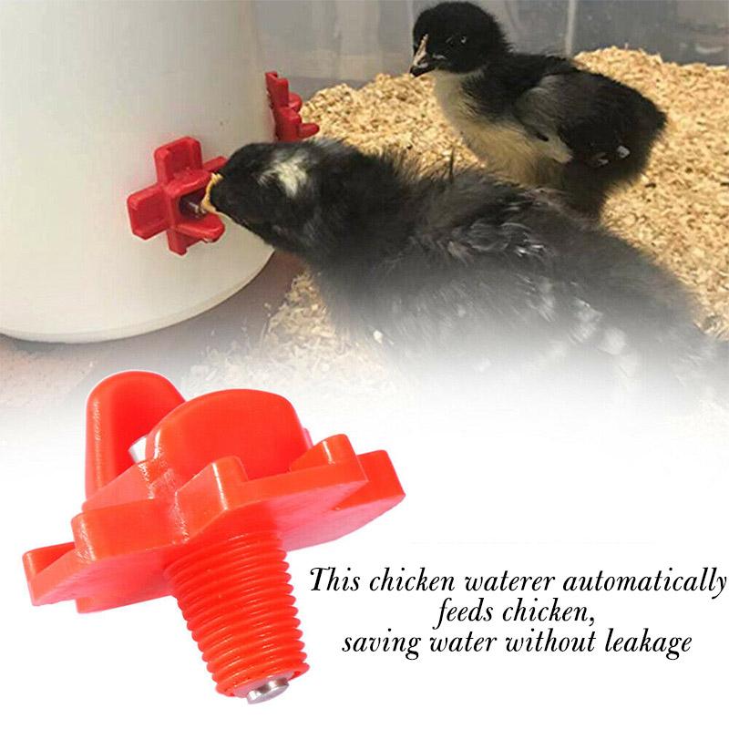 Horizontal Side Mount Chicken Waterer - Image 6