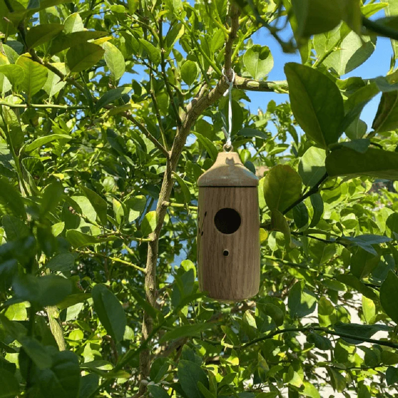Hummingbird House - Image 2