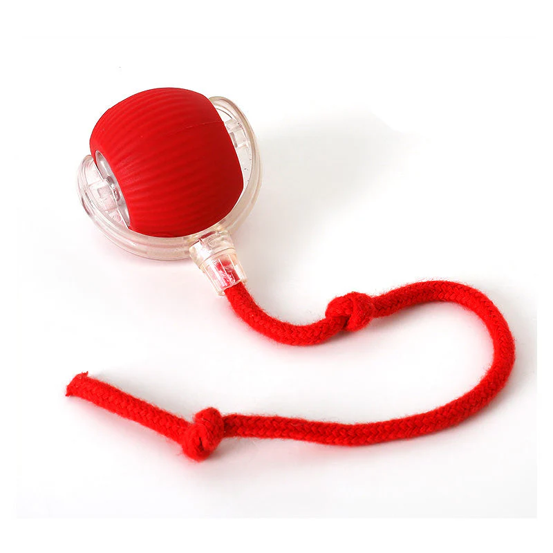 Indoor Cat Interactive Ball - Image 13