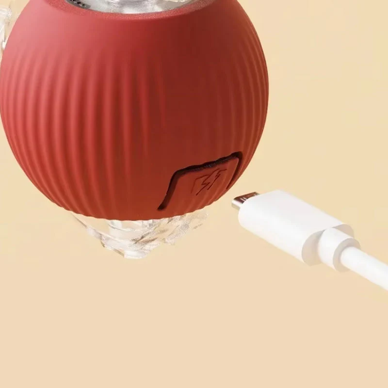 Indoor Cat Interactive Ball - Image 3