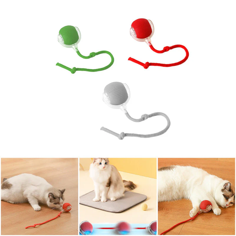 Indoor Cat Interactive Ball - Image 5