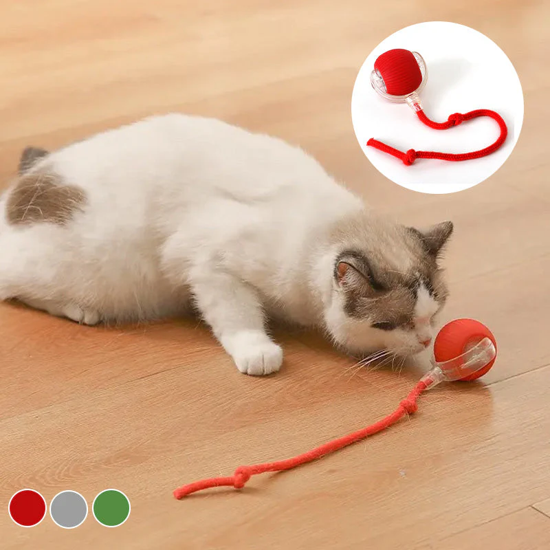 Indoor Cat Interactive Ball - Image 6