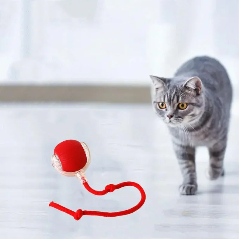 Indoor Cat Interactive Ball - Image 7