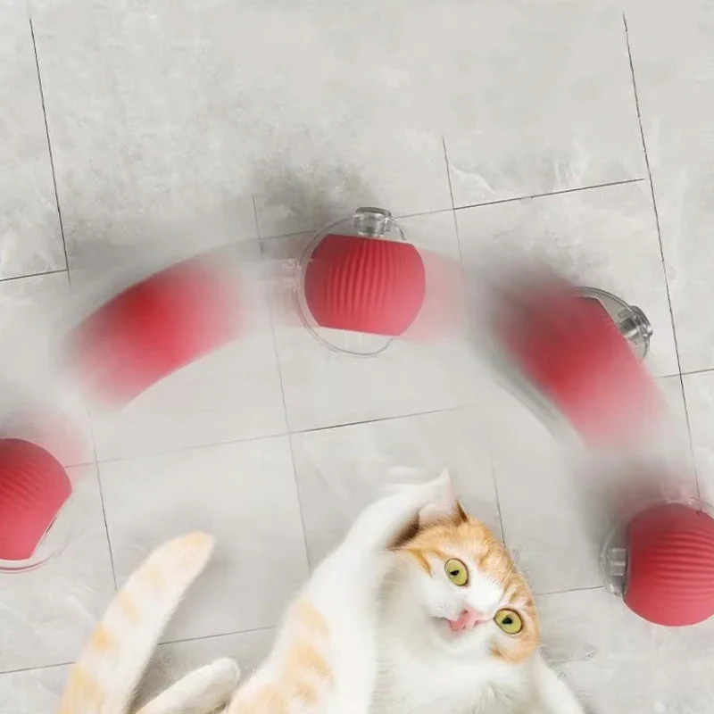 Indoor Cat Interactive Ball - Image 8