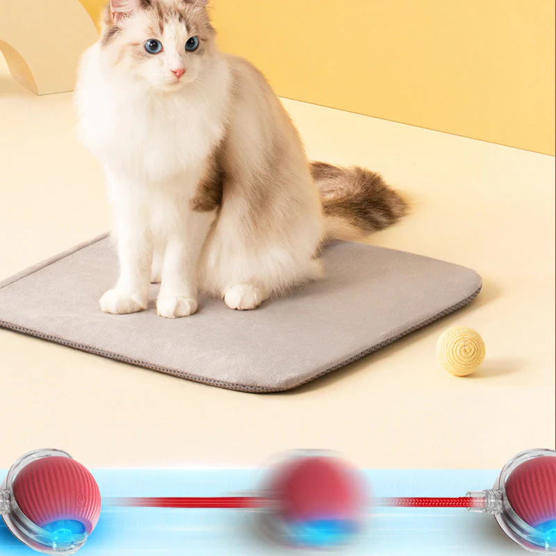Indoor Cat Interactive Ball - Image 9