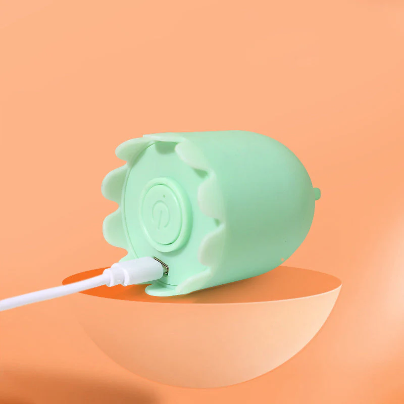 Indoor Cat Toys - Image 7