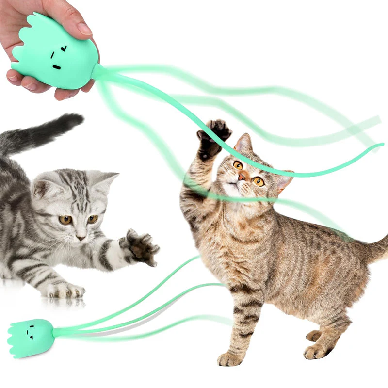 Indoor Cat Toys - Image 9