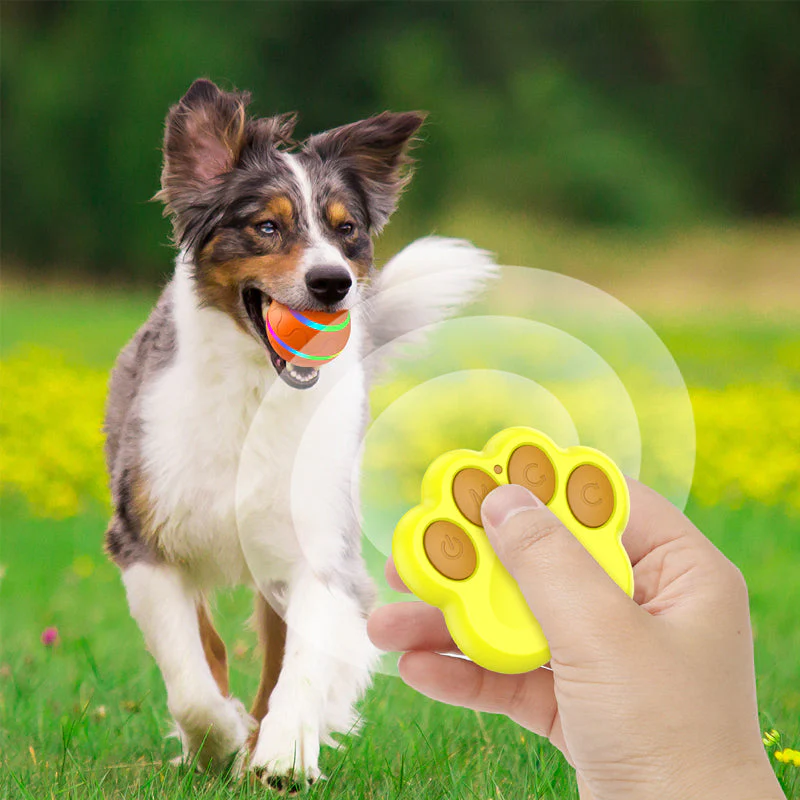 Interactive Automatic Moving Toys With LED Flash Ball - Image 4