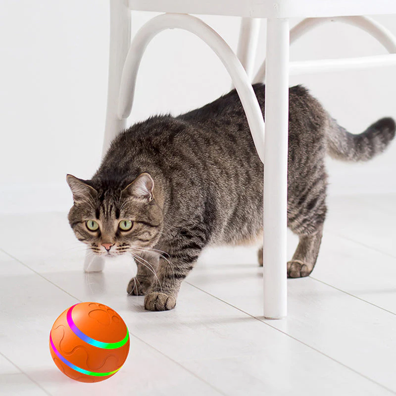 Interactive Automatic Moving Toys With LED Flash Ball - Image 5