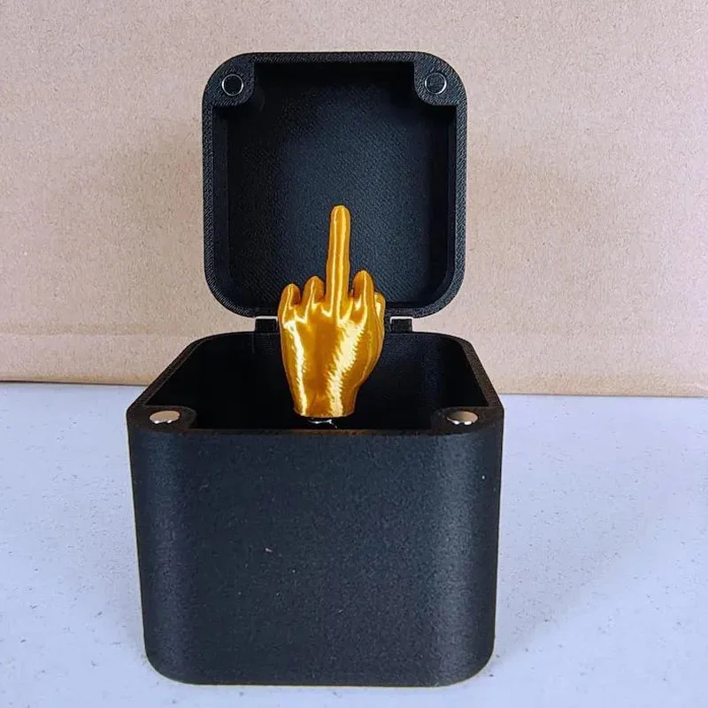 Funny Middle Finger in a Box - Image 3