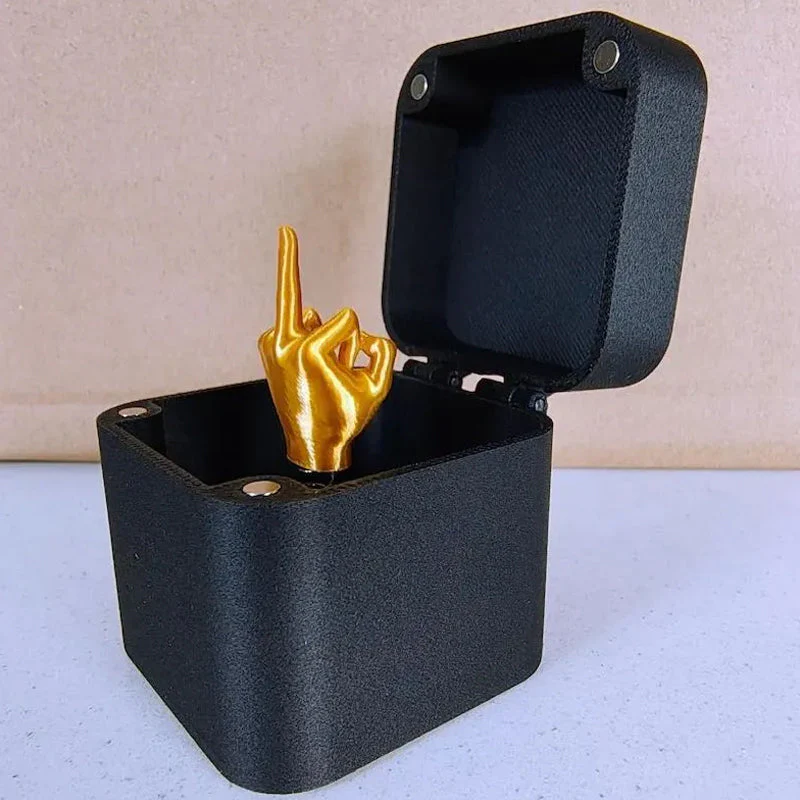 Funny Middle Finger in a Box - Image 4