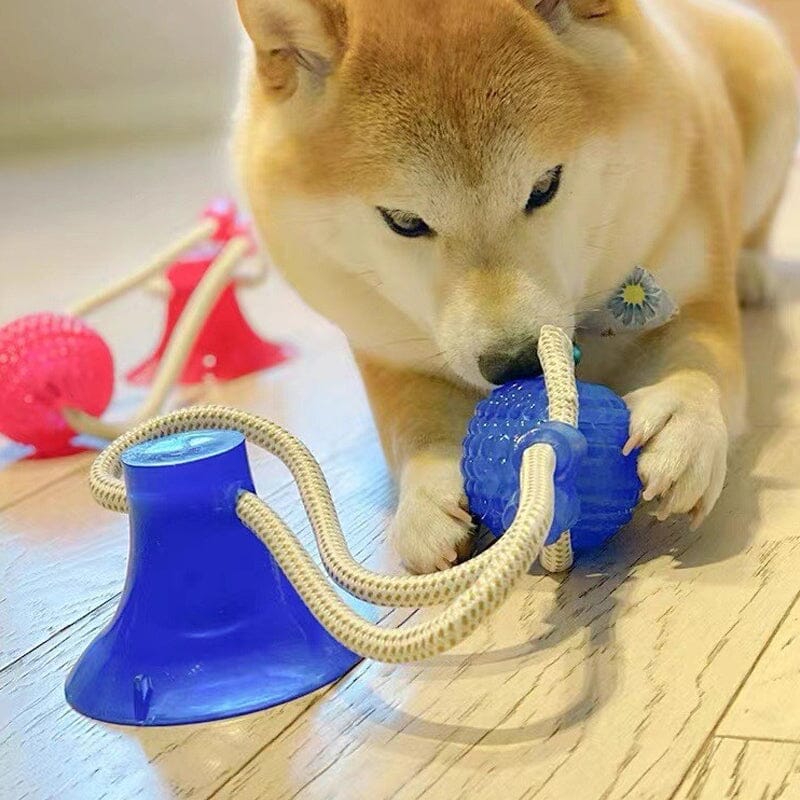 Multifunction Pet Molar Bite Toy - Image 12
