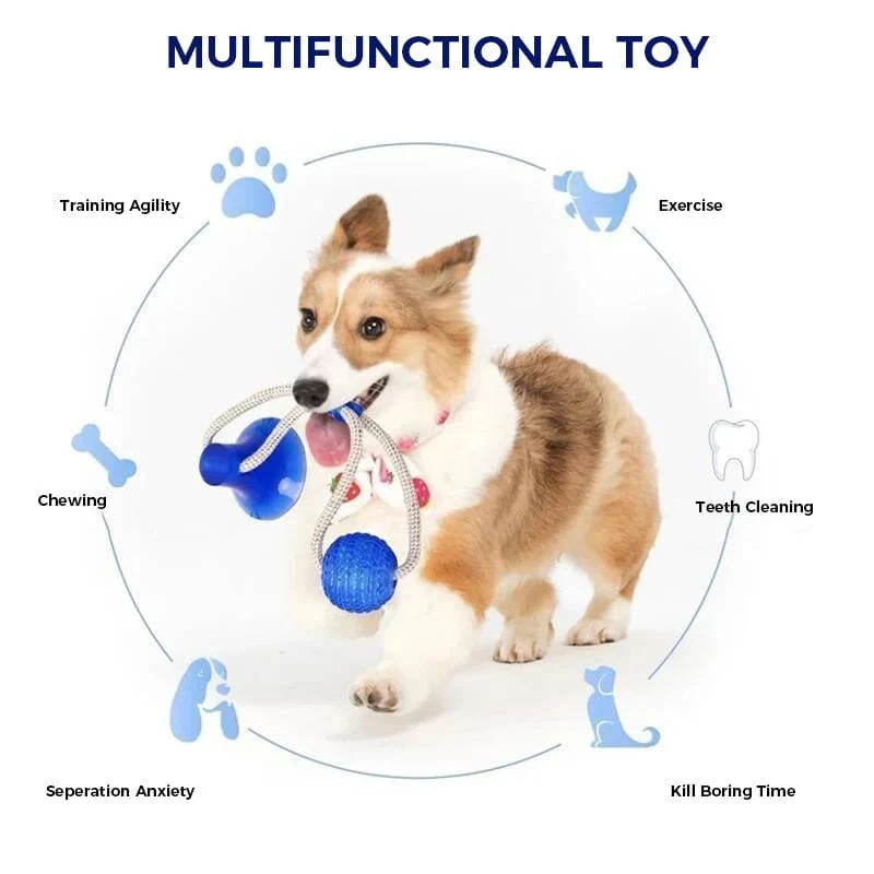 Multifunction Pet Molar Bite Toy - Image 2