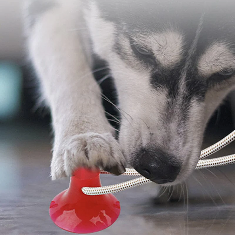 Multifunction Pet Molar Bite Toy - Image 5