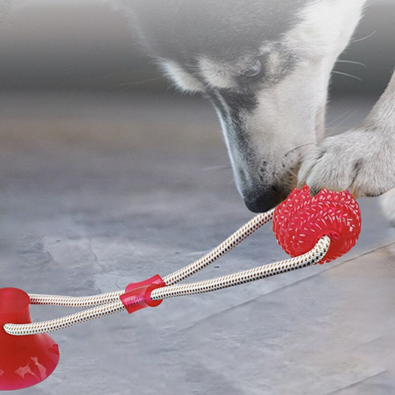 Multifunction Pet Molar Bite Toy - Image 6
