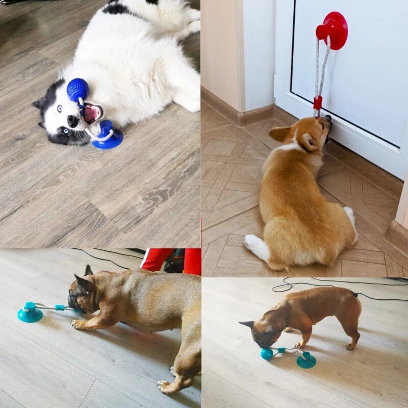 Multifunction Pet Molar Bite Toy - Image 9