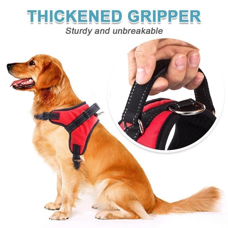 Hirundo® No-Pull Dog Harness, Adjustable Harness for Dogs - Image 4