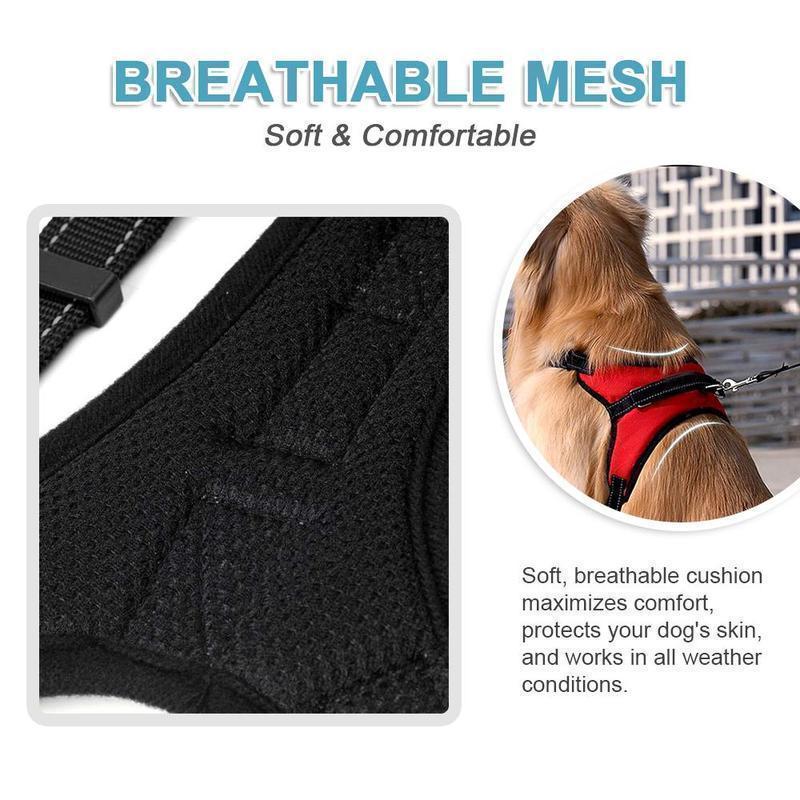 Hirundo® No-Pull Dog Harness, Adjustable Harness for Dogs - Image 5