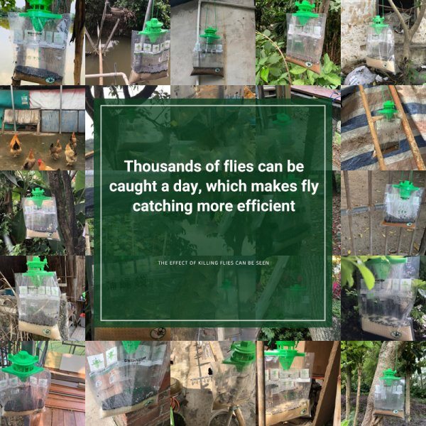 Non-Toxic Disposable Trap Catcher - Image 5