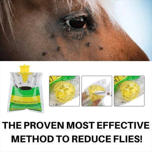 Non-Toxic Disposable Trap Catcher - Image 7