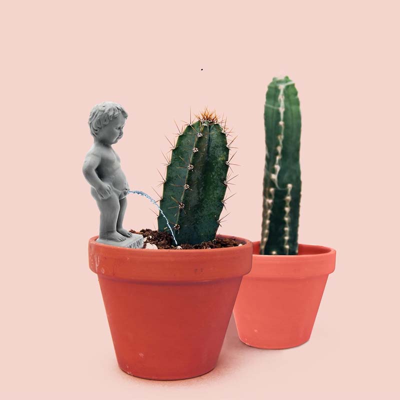 Peeing Boy Self Watering Stake - Image 5
