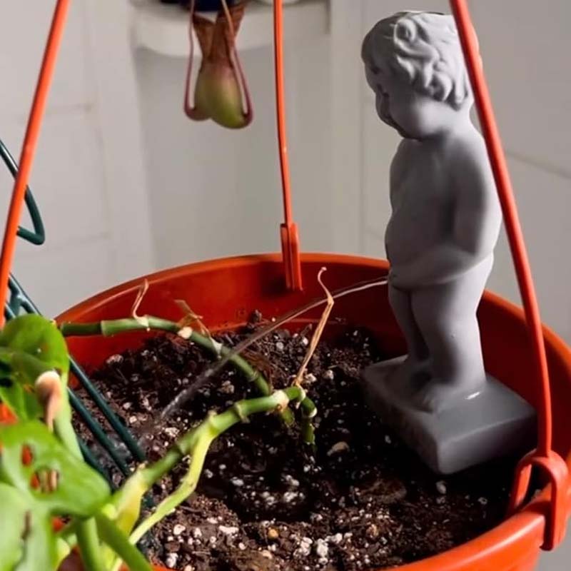 Peeing Boy Self Watering Stake - Image 9