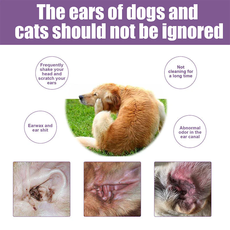 Pet Ear Cleaner - Image 4