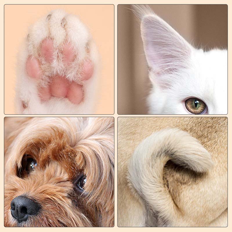 Pet Hair Trimmer With Led Light - Image 13