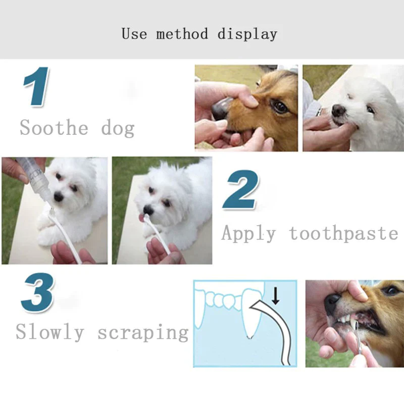 Pet Teeth Cleaning Pen - Image 10