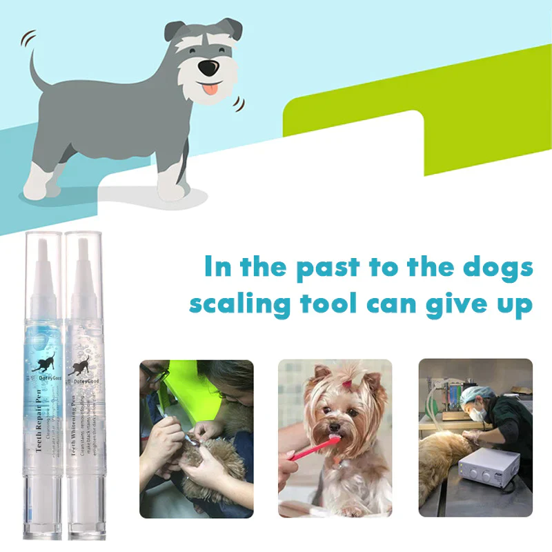 Pet Teeth Cleaning Pen - Image 12