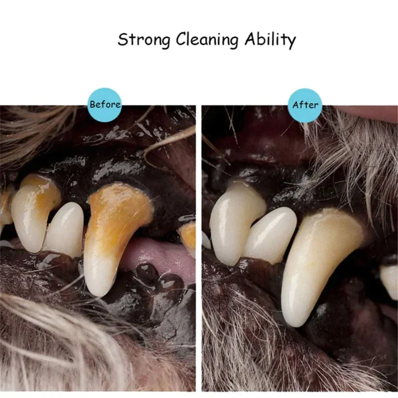 Pet Teeth Cleaning Pen - Image 9