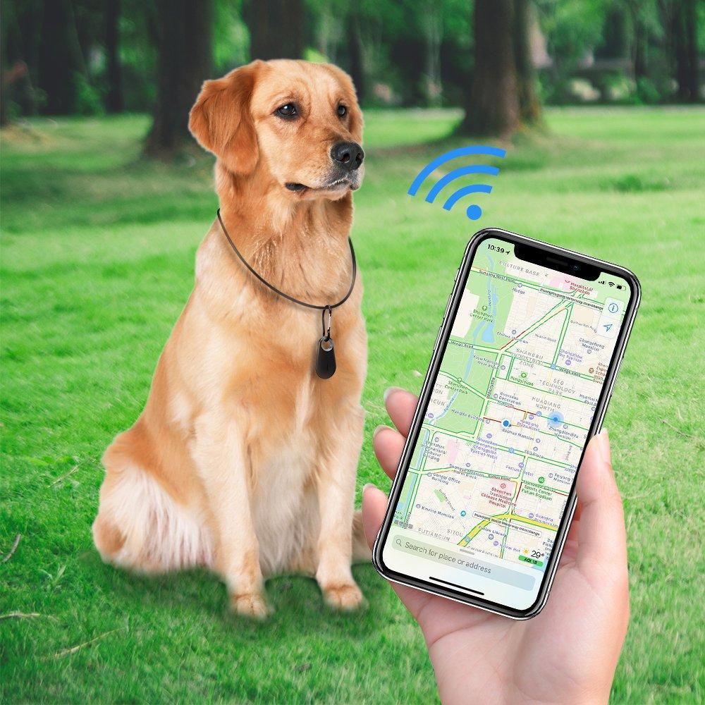 Pets GPS Tracker & Activity Monitor For Dogs and Cats - Image 7