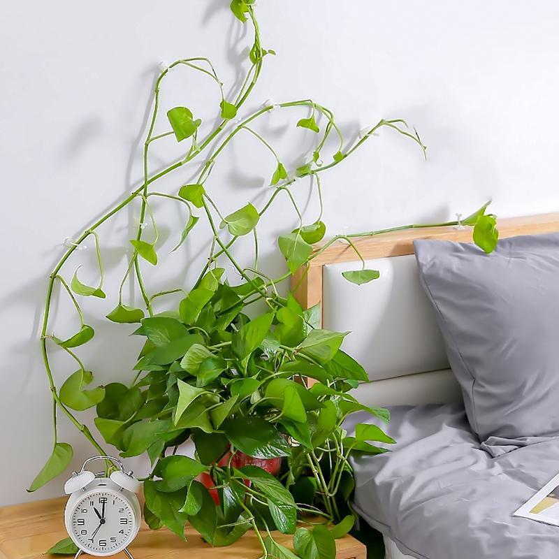 Plant Climbing Wall Clip - Image 2