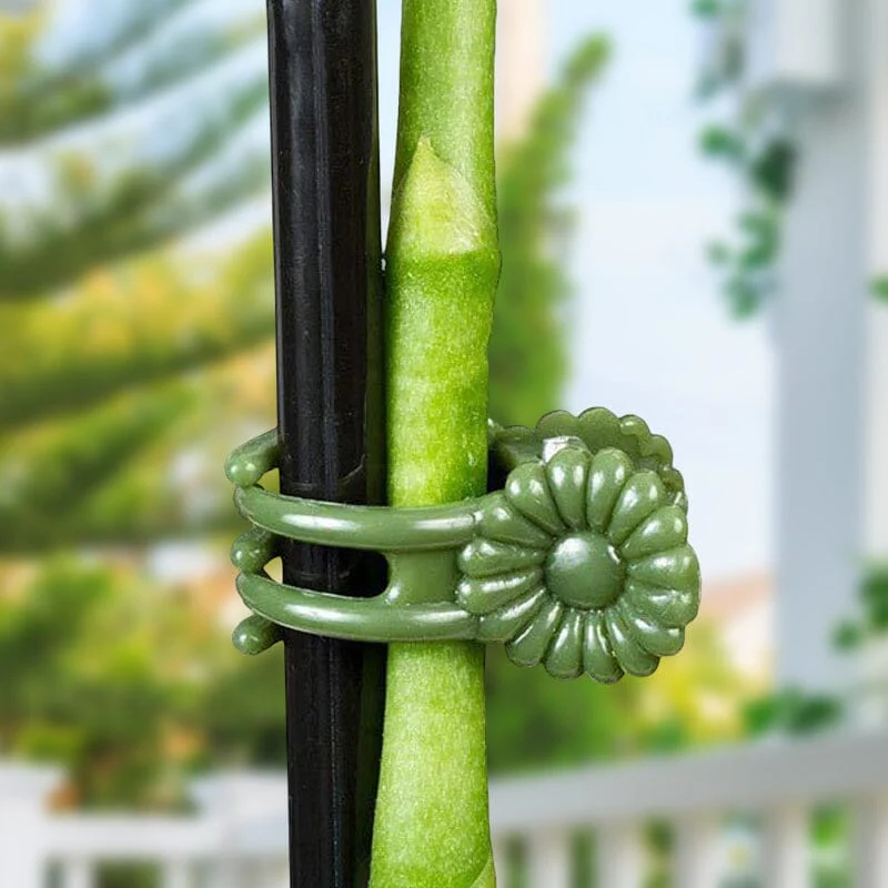 Plant Clips - Image 5