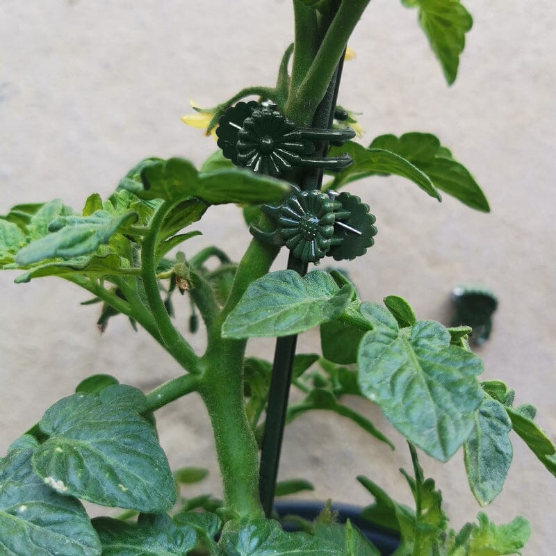 Plant Clips - Image 6