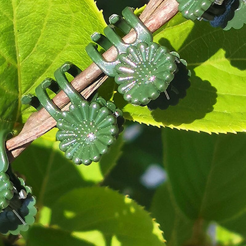 Plant Clips - Image 7