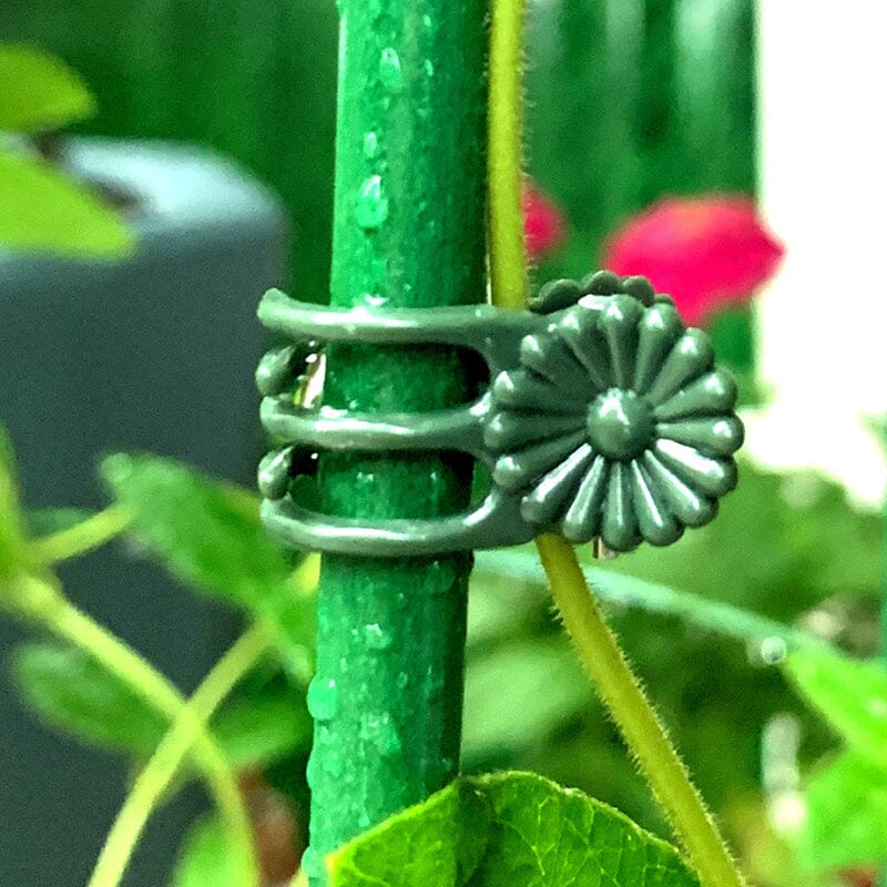 Plant Clips - Image 8