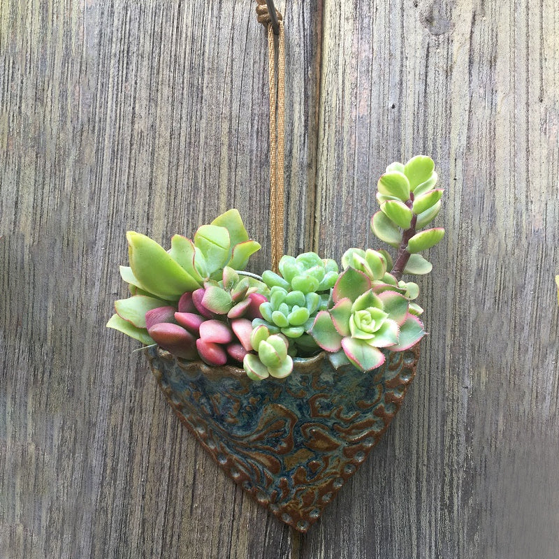 Planting Succulent Heart Pocket Planter - Image 3